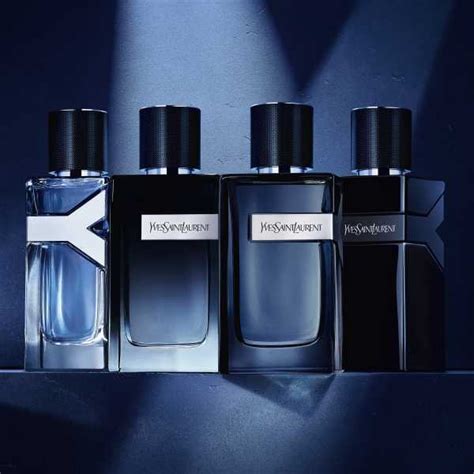 ysl y edp intense vs ysl y edp|YSL intense perfume.